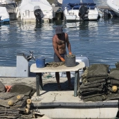 Una de las escenas más habituales a la orilla de la Ría Formosa