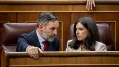 El presidente de la ultraderecha Vox, Santiago Abascal, y la diputada portavoz, Pepa Millán, en el Congreso de los Diputados. A. Pérez Meca / Europa Press