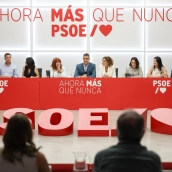 Comisión Ejecutiva Federal del PSOE.  Alejandro Martínez Vélez / Europa Press