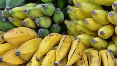 peterg63 bananas 8364511