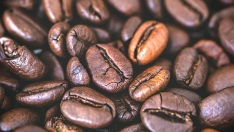 Granos de café
