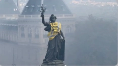 Disturbios en Francia. Fuente: X.