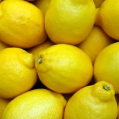 richardjohn lemons 2039830