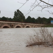 El río Guadalete desborda sus márgenes a su paso por la zona de Las Pachecas en Jerez de la Frontera (Cádiz) provocando importantes inundaciones. 