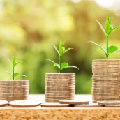 Ahorrando dinero. Fuente: Imagen de Nattanan Kanchanaprat en Pixabay.