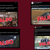 Bulos y desinformación esparcida en redes sociales tras el trágico accidente ferroviario en Urda, Toledo. Elaboración propia (Capturas de X).