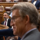 Santiago Abascal con Feijóo en el Congreso