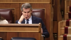El líder del PP, Alberto Núñez Feijóo