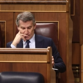 El líder del PP, Alberto Núñez Feijóo