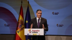 El presidente del gobierno Pedro Sánchez.