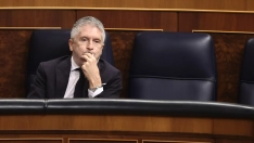 El ministro del Interior, Fernando Grande-Marlaska