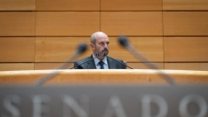 El presidente del Senado, Pedro Rollán.