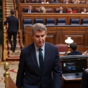 El líder del PP, Alberto Núñez Feijóo. El líder del PP, Alberto Núñez Feijóo.