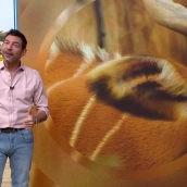 'Aquí la Tierra' lidera su franja del domingo con un sólido 11,9%