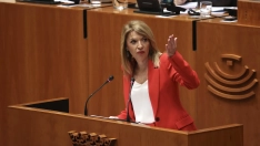 La portavoz del PSOE de Extremadura, Piedad Álvarez Cortés. Jorge Armestar / Europa Press