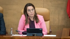 La vicepresidenta de la Mesa de la Asamblea, Ana Millán. Diego Radamés / Europa Press