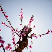 Cuándo empieza la primavera 2026  fecha, hora exacta del equinoccio y cambio de hora en España