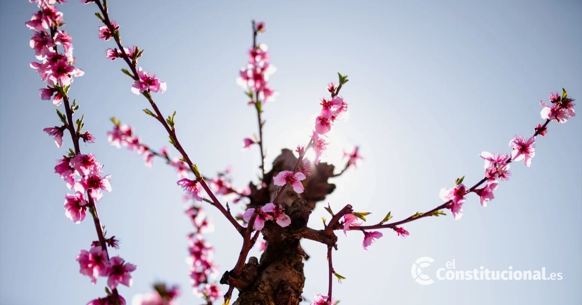 Cuándo empieza la primavera 2026: fecha, hora exacta del equinoccio y ...
