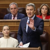 Alberto Núñez Feijóo, en el Congreso. Marta Fernández/Europa Press