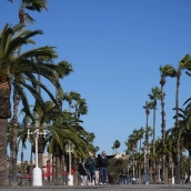 Cataluña en alerta por viento extremo  rachas de hasta 169 km:h y carreteras cortadas