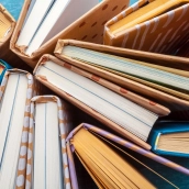 Conjunto de libros que evocan a la cultura