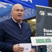 El secretario general del PP, Miguel Tellado El secretario general del PP, Miguel Tellado