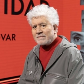 Pedro Almodóvar, Premio de Honor Sant Jordi 2026: el reconocimiento a toda una vida de cine único | José Manuel Ortega Elgueta