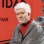 Pedro Almodóvar, Premio de Honor Sant Jordi 2026: el reconocimiento a toda una vida de cine único | José Manuel Ortega Elgueta