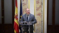 Miguel Tellado (Alejandro Martínez/Europa Press)
