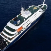 Crucero MV Hondius. Redes sociales