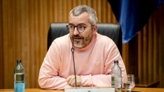 El secretario de Estado de Sanidad, Javier Padilla. A. Pérez Meca / Europa Press