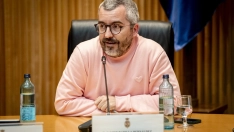 El secretario de Estado de Sanidad, Javier Padilla. A. Pérez Meca / Europa Press