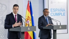 EuropaPress 7516549 presidente gobierno pedro sanchez recibe director general organizacion