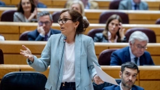 Mónica García en el Senado (Ricardo Rubio/Europa Press)