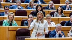 La portavoz del PP en el Senado, Alicia García. Ricardo Rubio / Europa Press