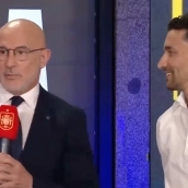 El seleccionador de España, Luis de la Fuente. Redes sociales