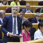 Marlaska, en el Senado (Europa Press)