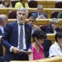 Marlaska, en el Senado (Europa Press)