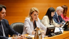 La vicepresidenta primera y consellera de Vivienda, Empleo, Juventud e Igualdad de la Generalitat Valenciana, Susana Camarero. Jorge Gil / Europa Press