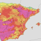 La AEMET prevé un verano aún más caluroso de lo normal tras un 2025 que ya fue el más cálido de la historia AEMET La AEMET prevé un verano aún más caluroso de lo normal tras un 2025 que ya fue el más cálido de la historia AEMET