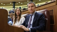 El presidente del PP, Alberto Núñez Feijóo, y la portavoz del PP en el Congreso, Ester Muñoz, durante una sesión de control al Gobierno. Marta Fernández / Europa Press