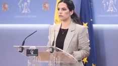 La portavoz de Vox en el Congreso, Pepa Millán. Eduardo Parra / Europa Press