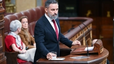 Santiago Abascal en el Congreso. (Gustavo Valiente/Europa Press)