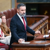Santiago Abascal en el Congreso. (Gustavo Valiente/Europa Press)