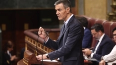 El presidente del Gobierno, Pedro Sánchez, durante su comparecencia en el Congreso de los Diputados esta mañana. Eduardo Parra / Europa Press