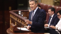 El presidente del PP, Alberto Núñez Feijóo, ayer el Congreso de los Diputados. Eduardo Parra / Europa Press