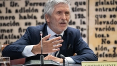 EuropaPress 7633610 ministro interior fernando grande marlaska celebracion sesion comparecencia