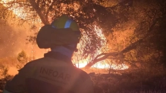 Efectivos del Infoar trabajando en el incendio de Leciñena (Zaragoza). Aragón TV