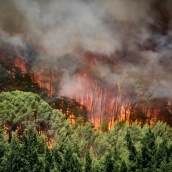 Vista del incendio forestal de Imárcoain.  Eduardo Sanz / Europa Press