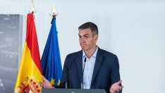 EuropaPress 7616267 presidente gobierno pedro sanchez encuentro politicas apoyo discapacidad